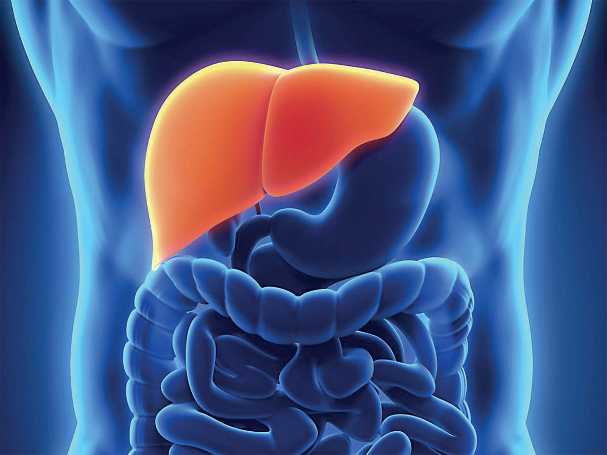 liver: 10 things you should know about the liver