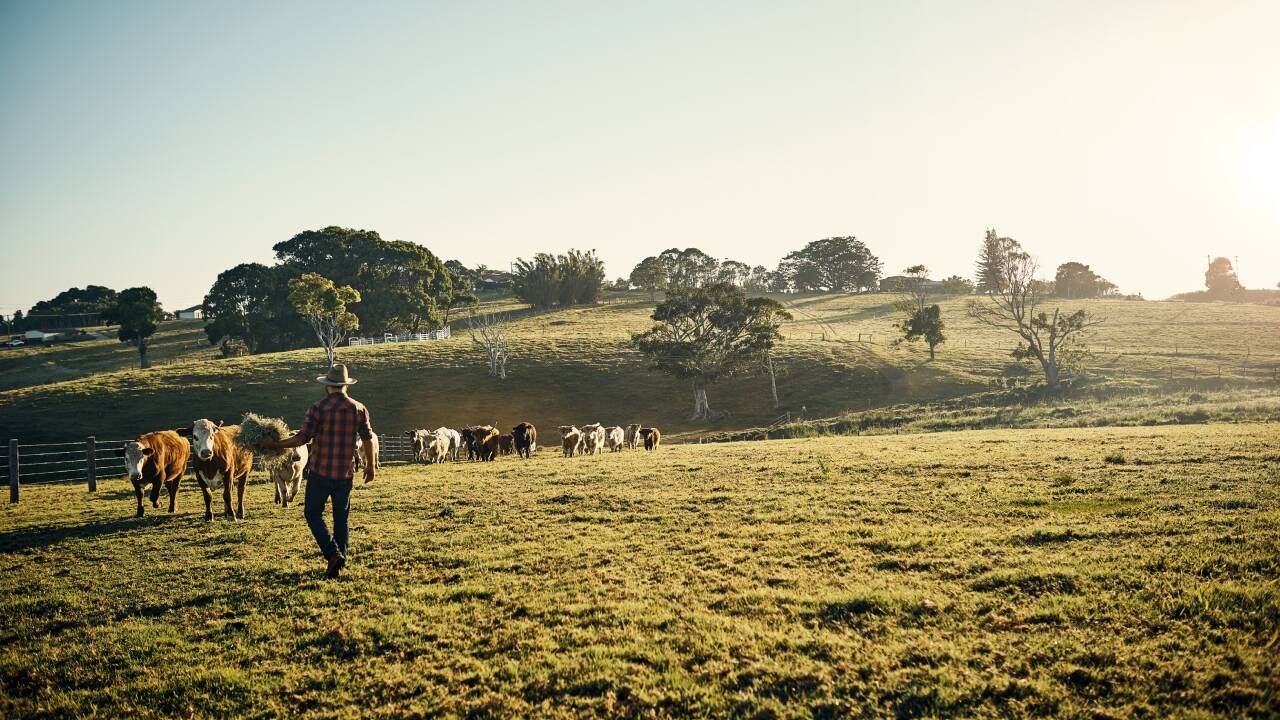 Florida saves 1,500 acres of farmland from future development