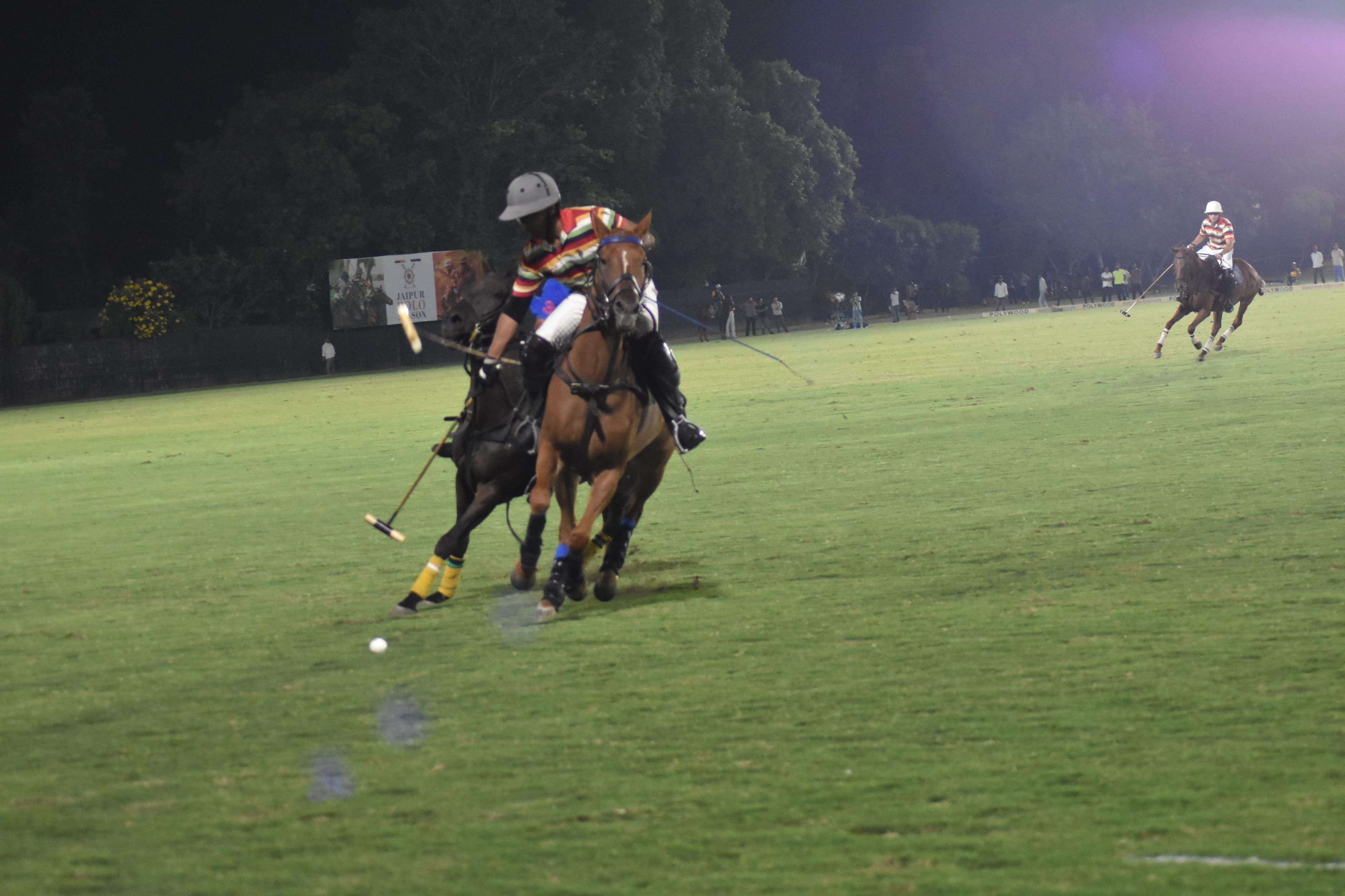 Polo-3.jpg