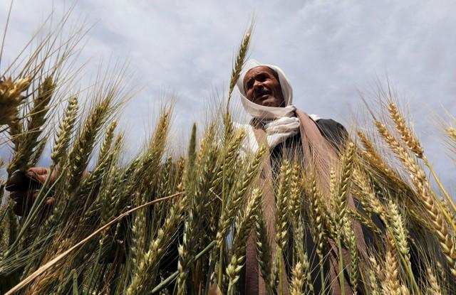 Kerala: Coming soon: Community Radio for Kerala farmers