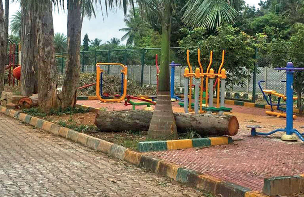 BBMP butchers trees at Allalasandra