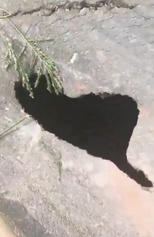 Noida elevated road pothole.png