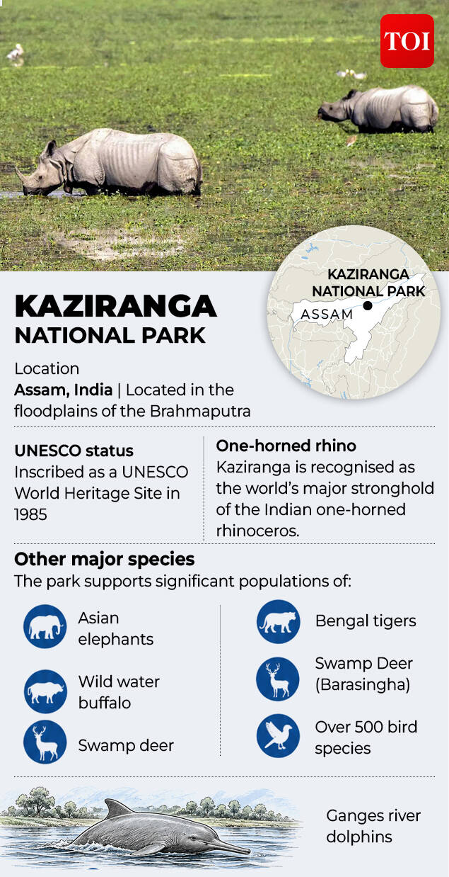 Kaziranga national park