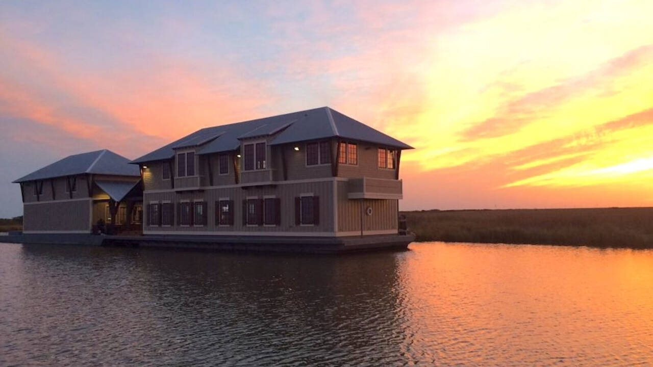 Fowl Play<br>