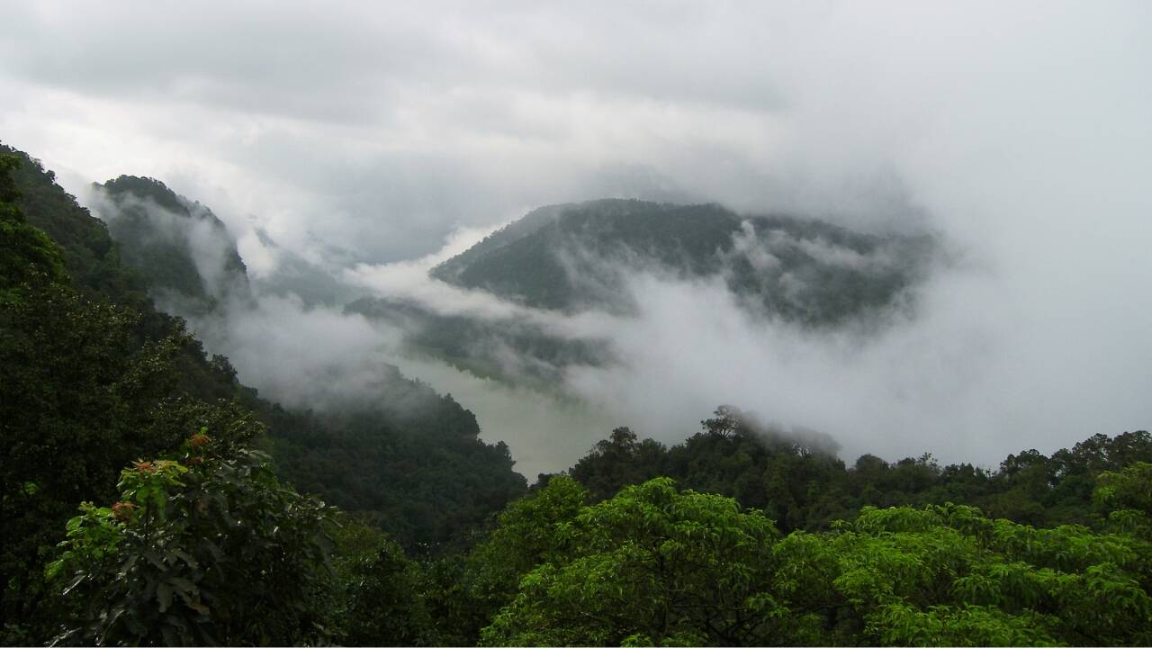 Misty Western Ghats