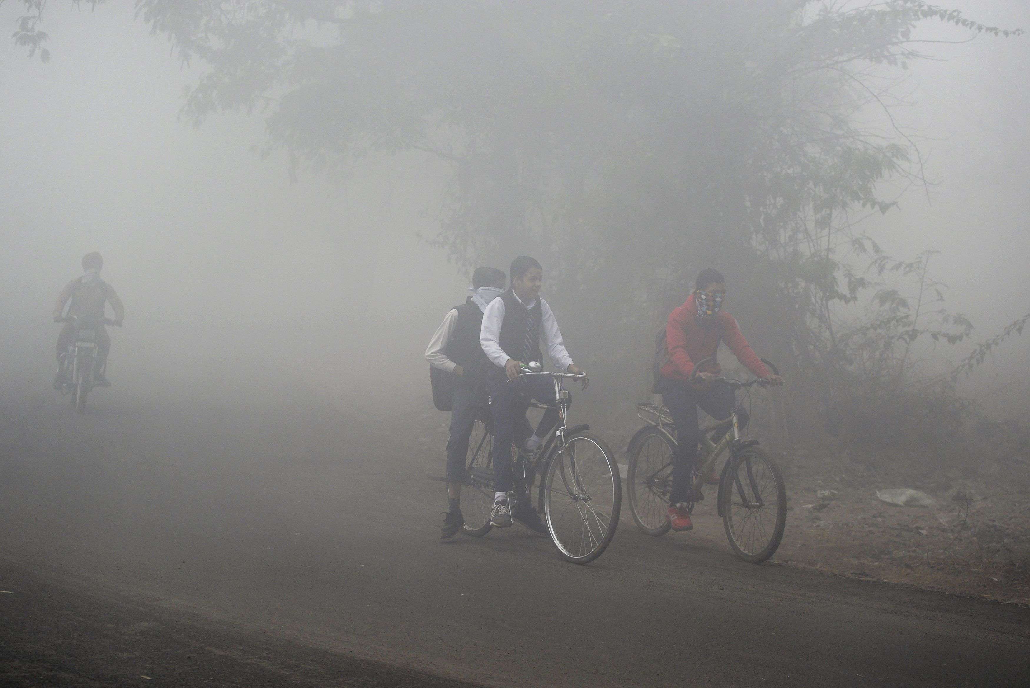 Stubble burning the main villain behind poor air in Delhi: HC