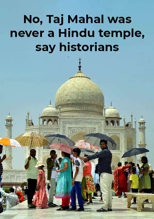 This is what historians say about Taj Mahal and its myths | India News -  Times of India