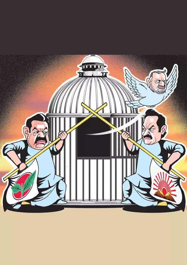 Why every party wants credit for Perarivalan's release | India News - Times  of India