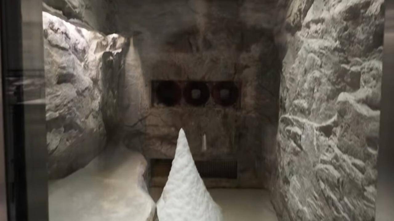 Ashneer's fav snow room