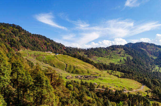 Dronagiri