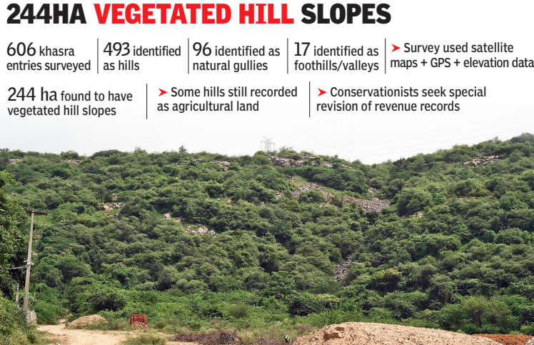 244HA vegetated hill slopes