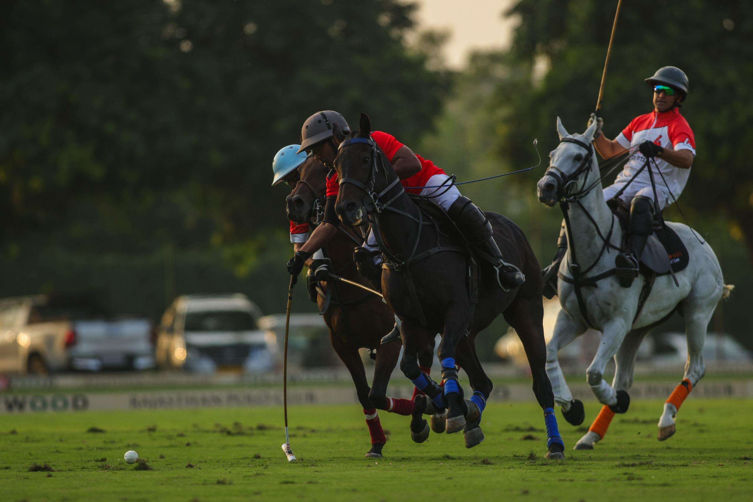 polo-2.jpg