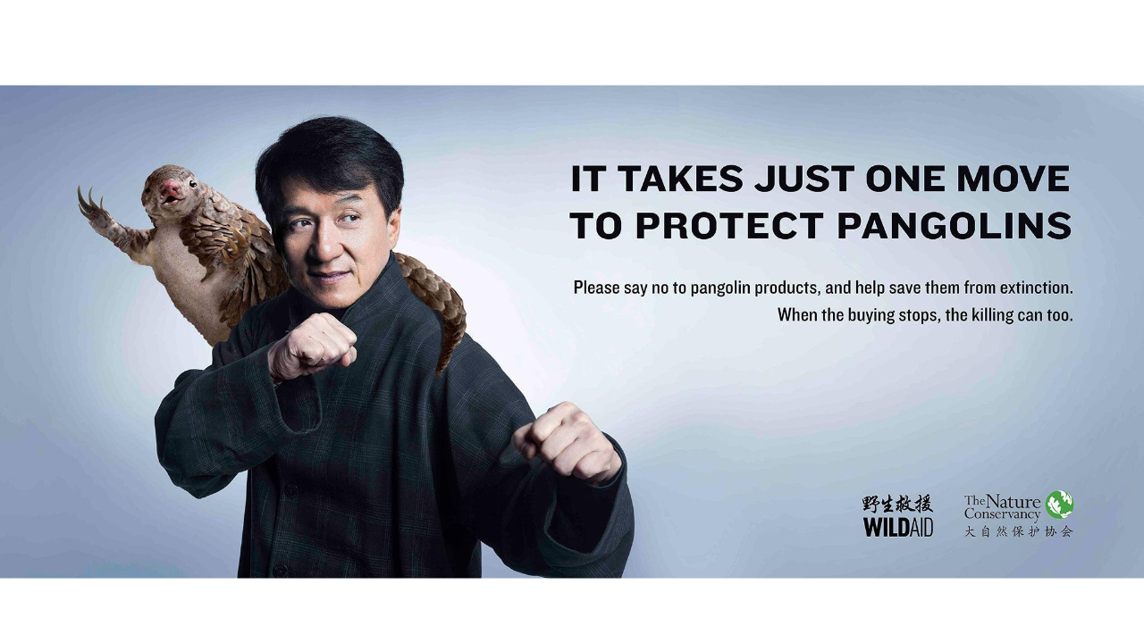 How the Kung Fu Pangolin campaign reached China<br>