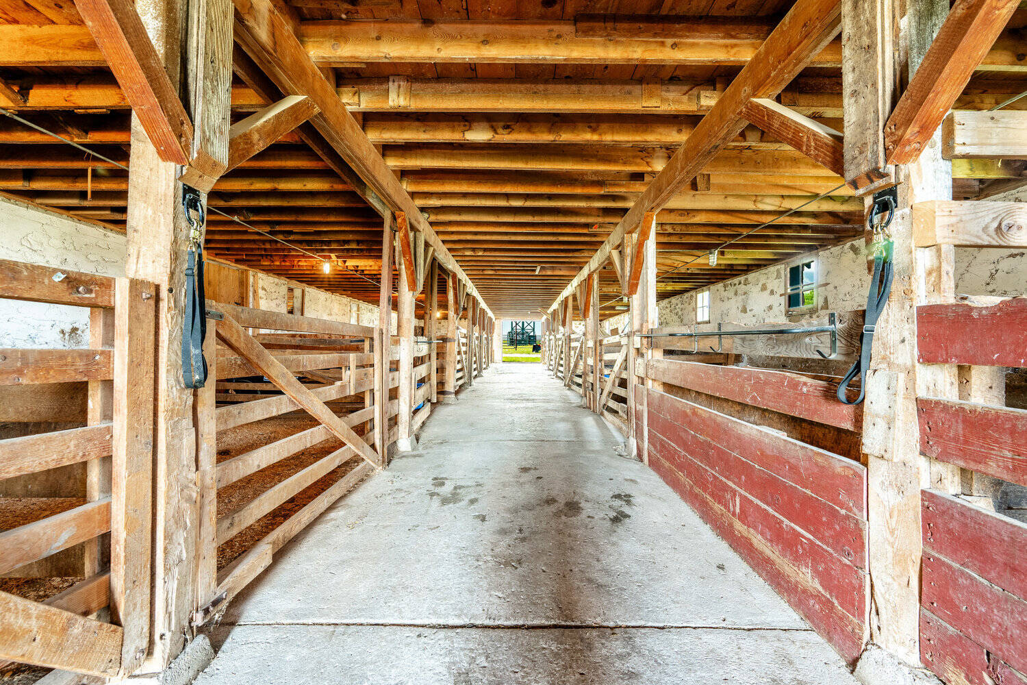 The shed