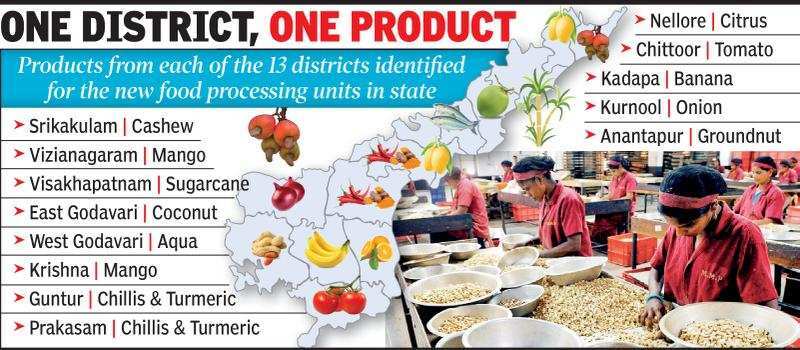 Andhra Pradesh To Promote District Based Food Processing Units Vijayawada News Times Of India