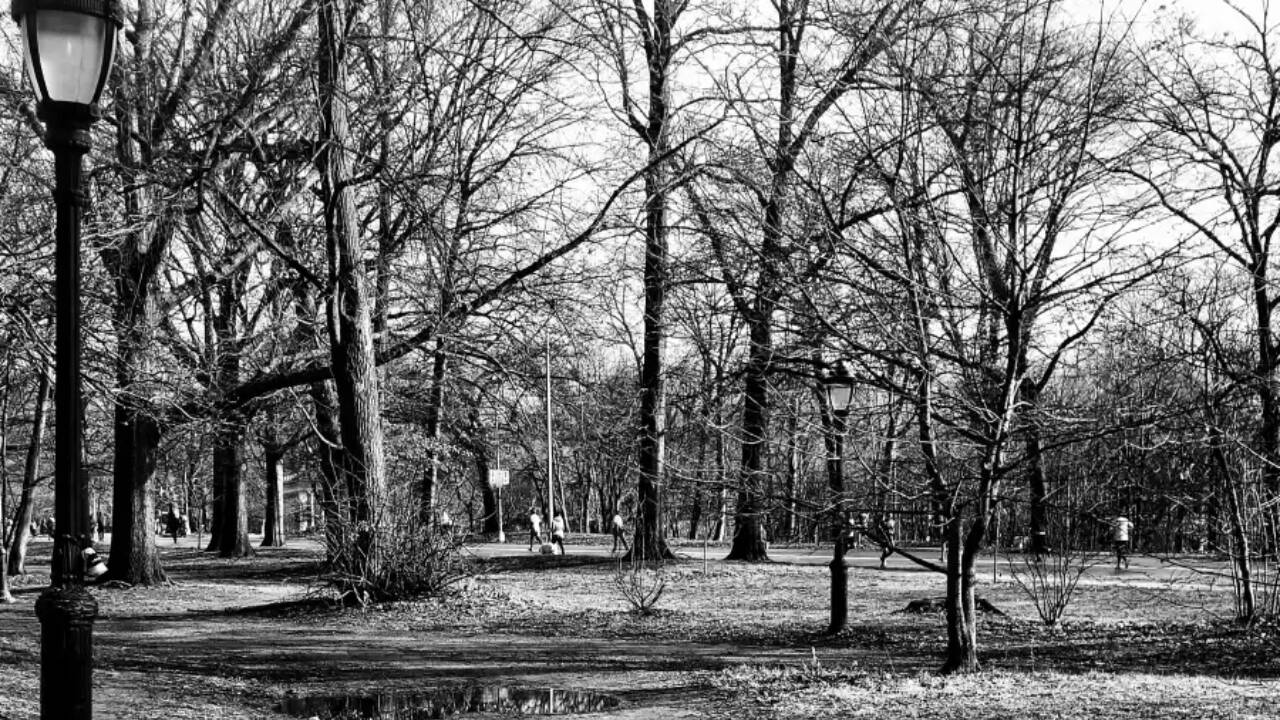 Brooklyn teen sells Prospect Park photos to raise cancer funds