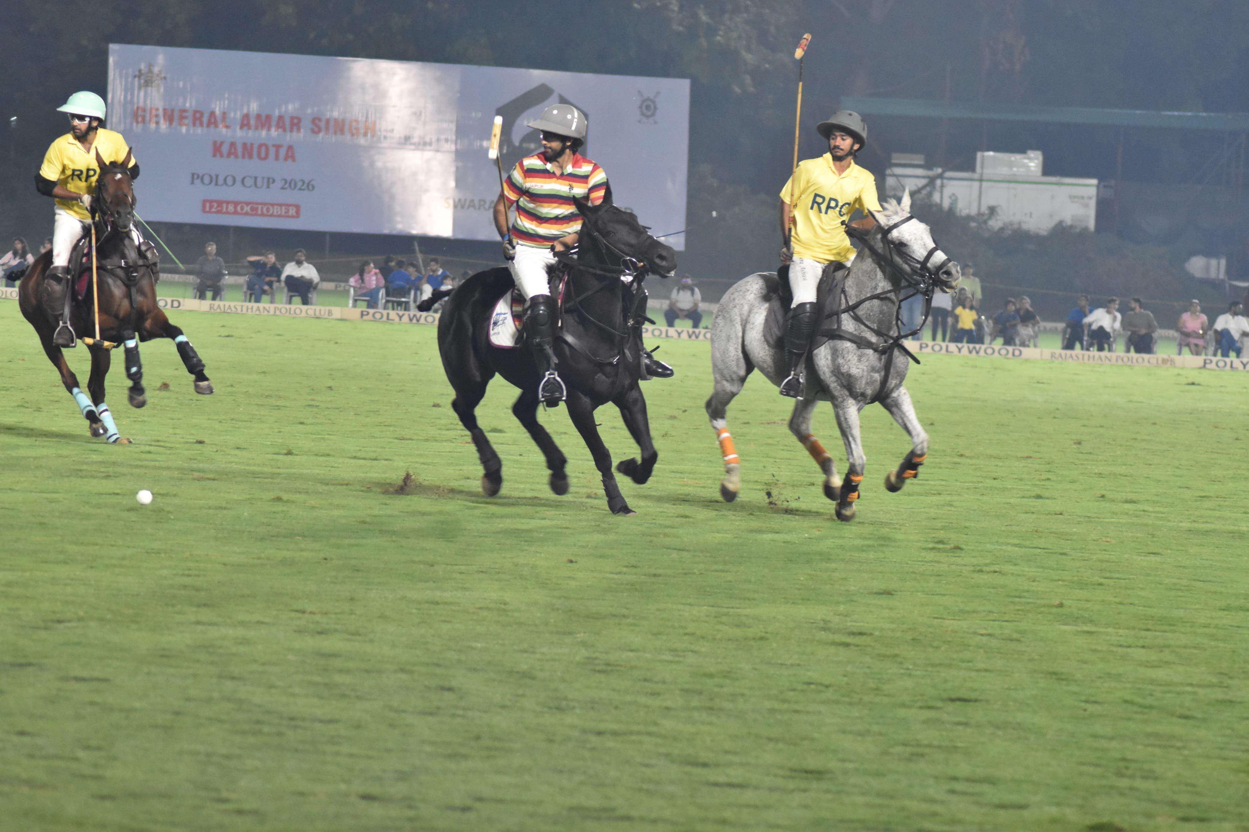polo-2.jpg