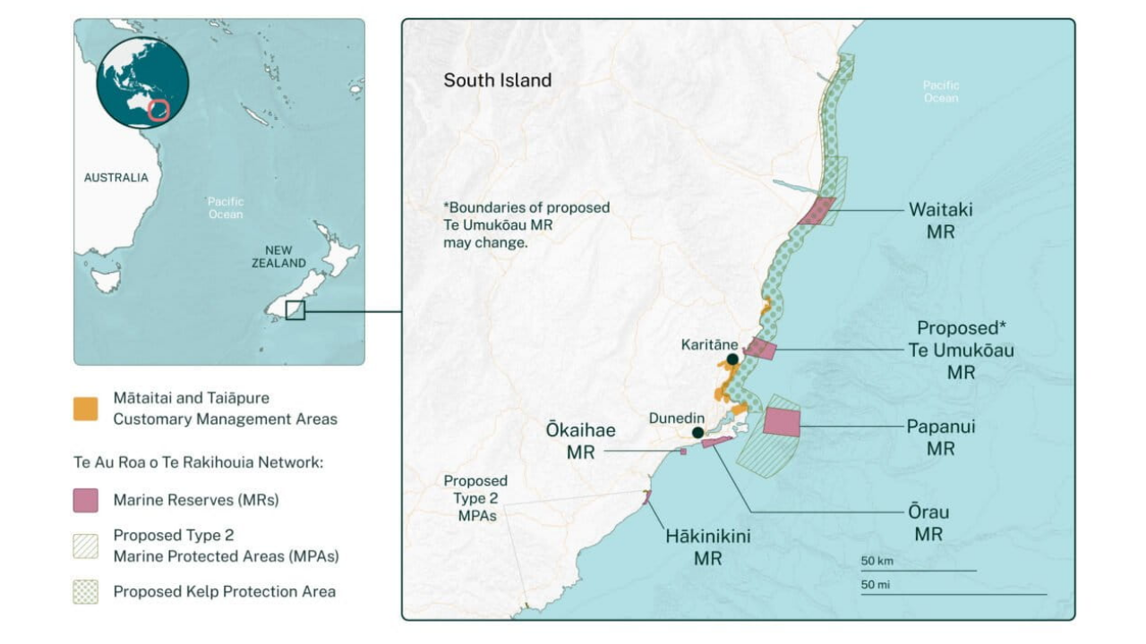 New Zealand opens five marine reserves with groundbreaking Maori co-management model to protect Otago’s coastal ecosystems