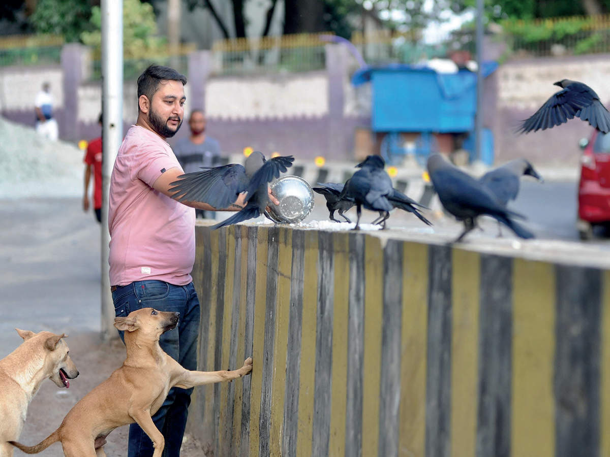 Pets, once loved, are getting abandoned