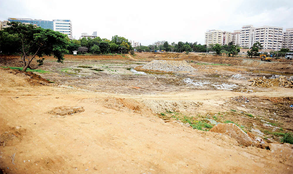 iblur lake A new year and new avatar for Iblur lake