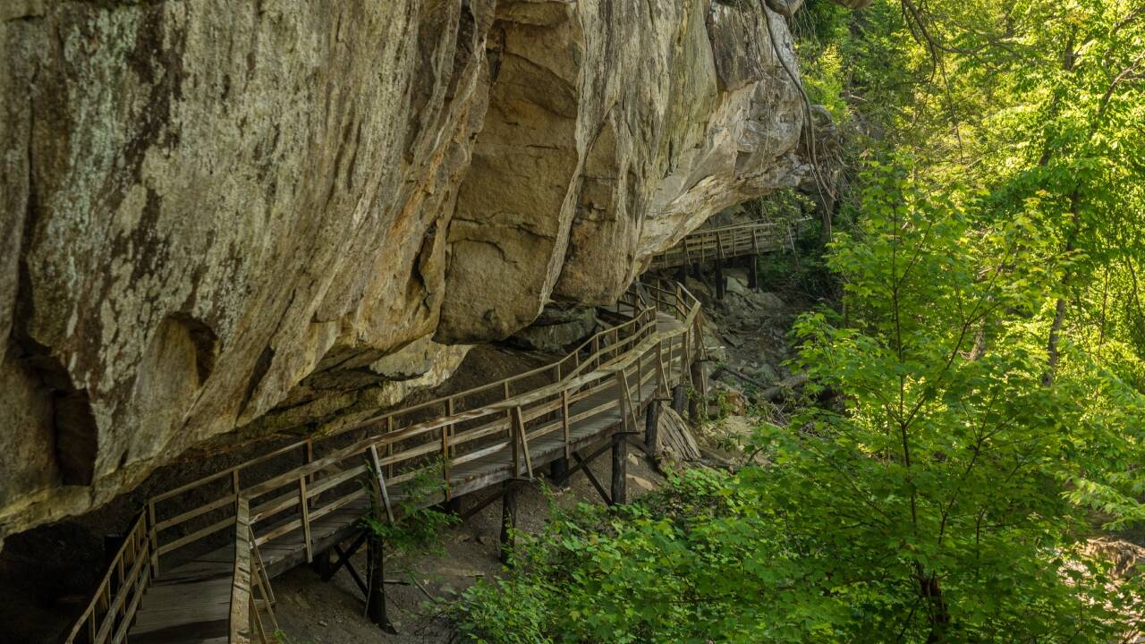 <strong>West Virginia family’s 47-acre gift expands Audra State Park by 13%</strong>