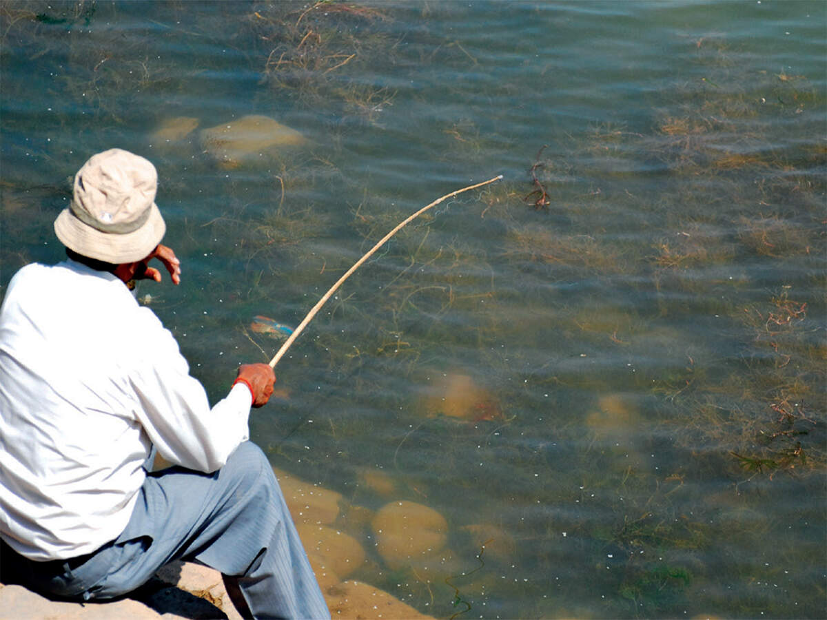 To catch an invisible fish