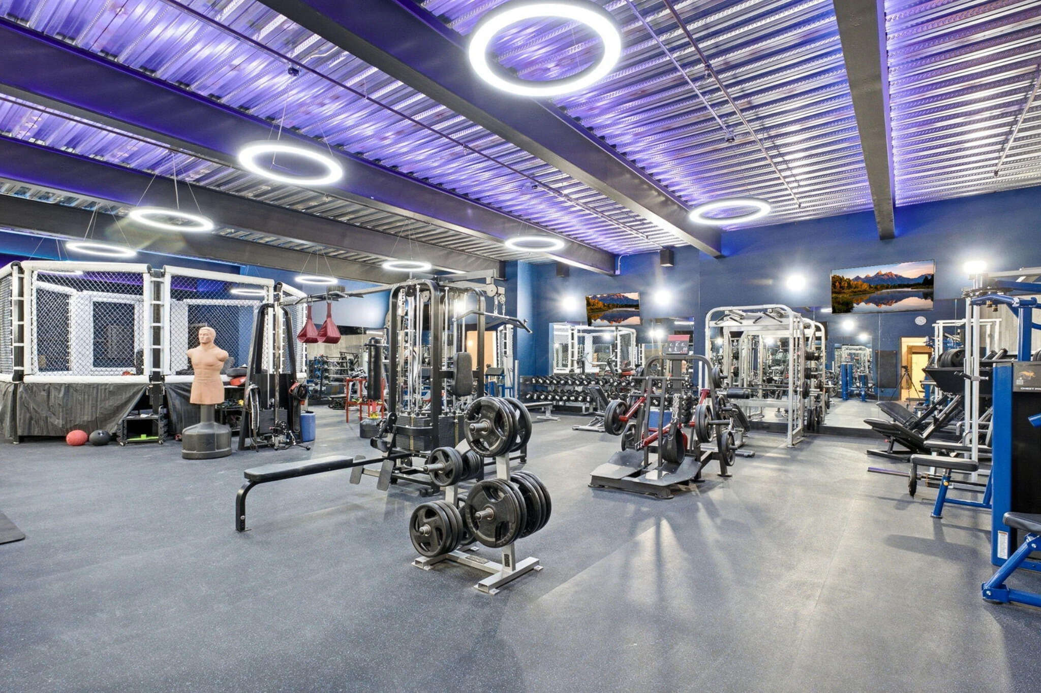 The gym