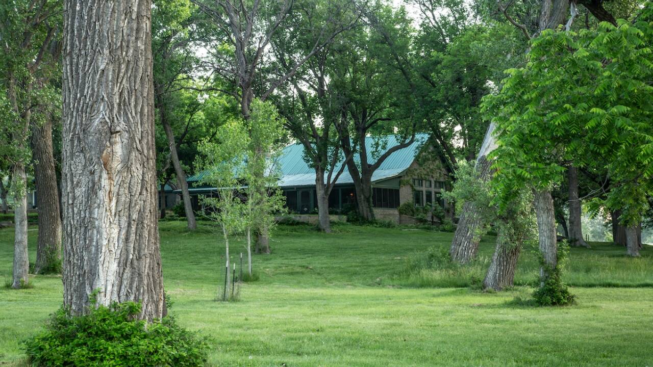 Turkey Track Ranch