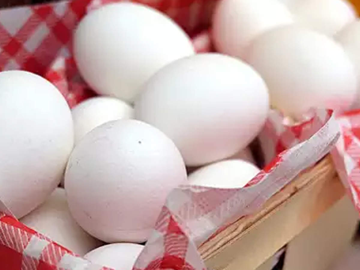 Egg shortage looms as avian flu hits most Navapur farms