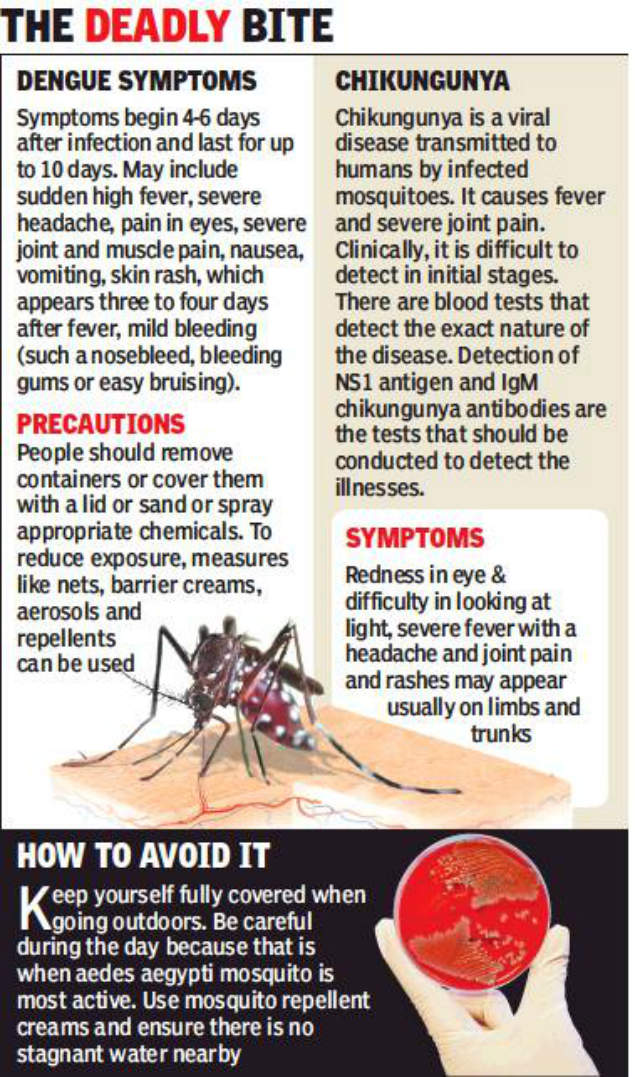 UT records 25% less dengue cases, no deaths reported | Chandigarh News ...