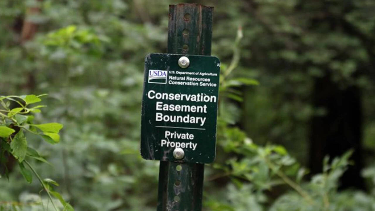 The 103-acre property was placed under a conservation easement in 2017. (Representational AI photo)<br>