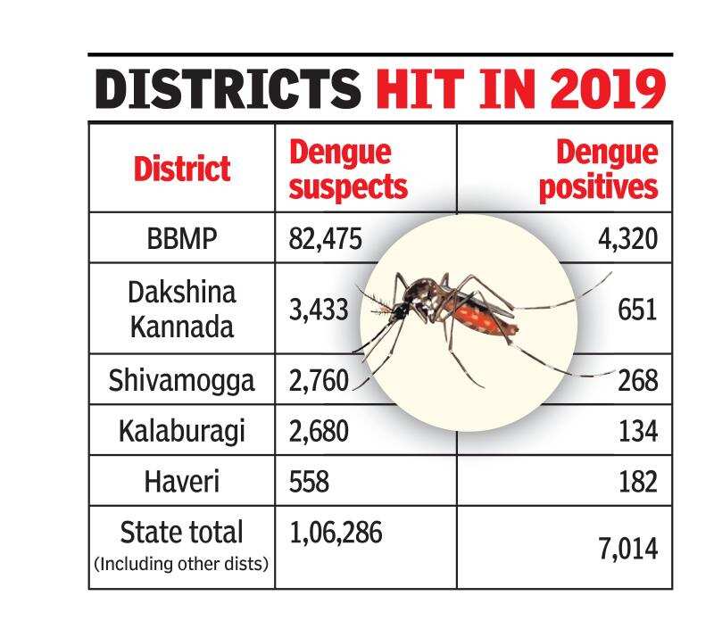 As cases spike, denguespecific insurance schemes on offer in Karnataka