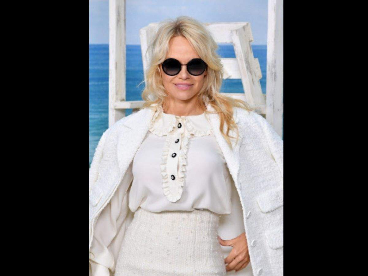 Pamela Anderson Gets Married To Bodyguard Dan Hayhurst