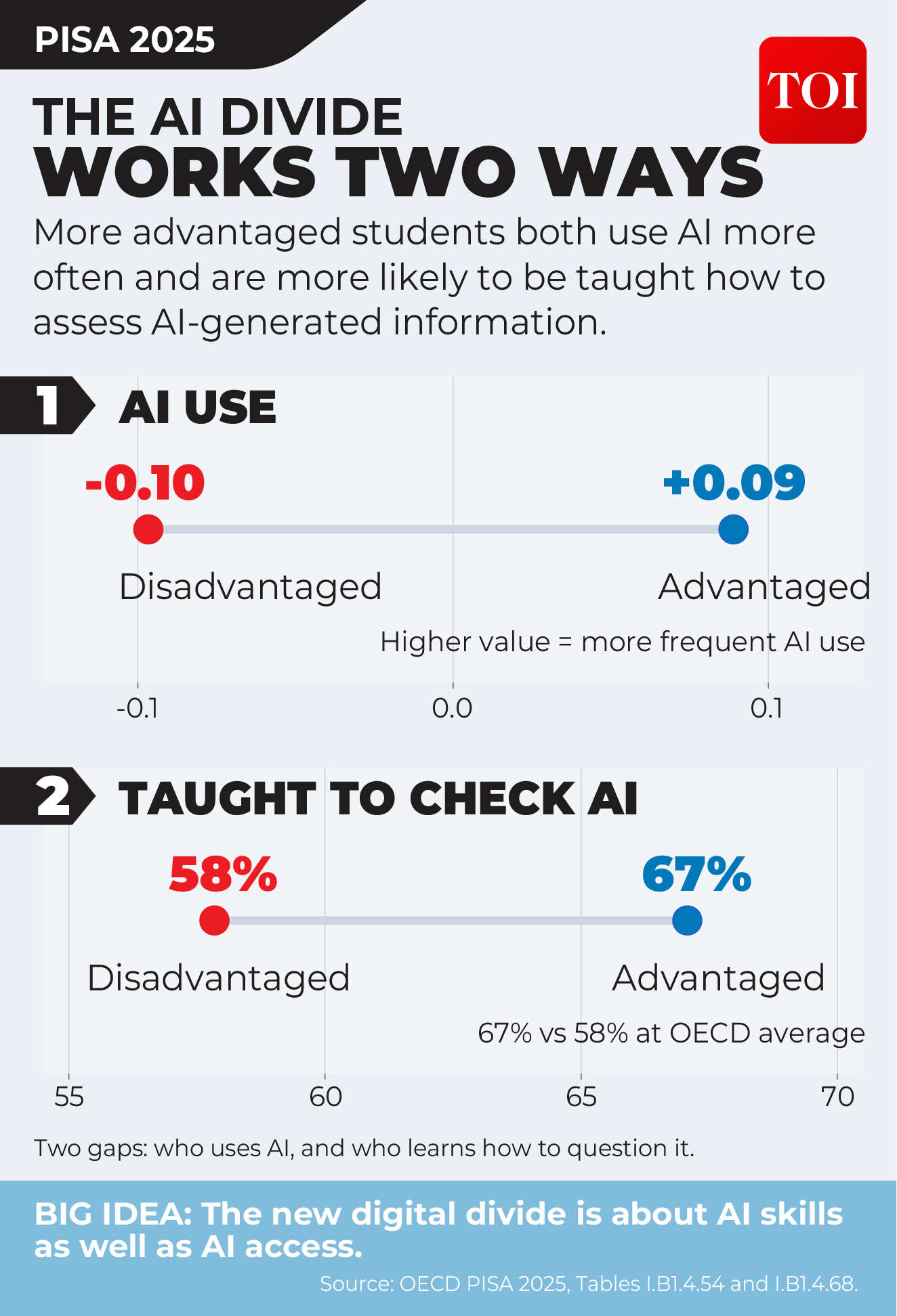 The AI Divide