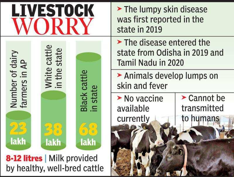 Farmers across Andhra Pradesh alerted over lumpy skin disease among