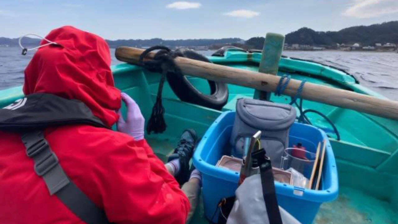 scientists collected DNA from seawater at 316 sites across Japan and found 126 fish species farther north than previously recorded, revealing how warming seas may be reshaping where coastal wildlife can survive