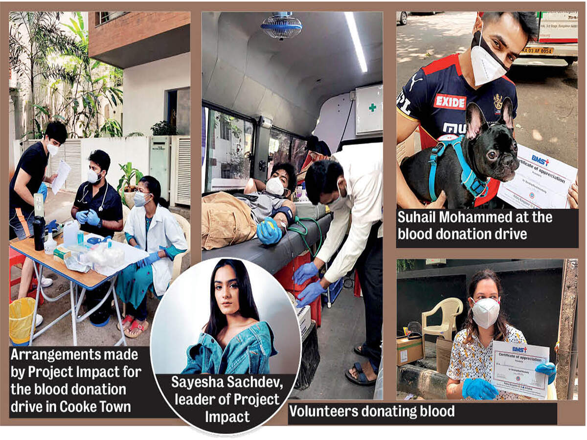 The Towns Mirror Special: All the help you need is here - Vimarsana News