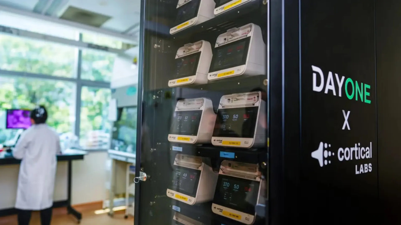 How living neurons are being used to process information.<br>