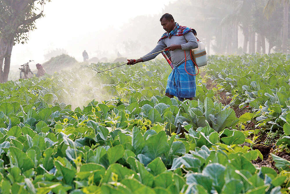 Subsidy to farmers is misfiring, finds study