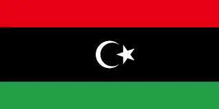 Libya's legislative bodies stress political process should follow constitutional declaration