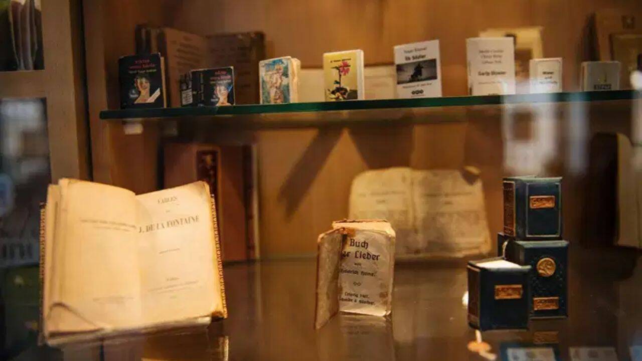 WANDERON What can visitors find inside the Baku collection