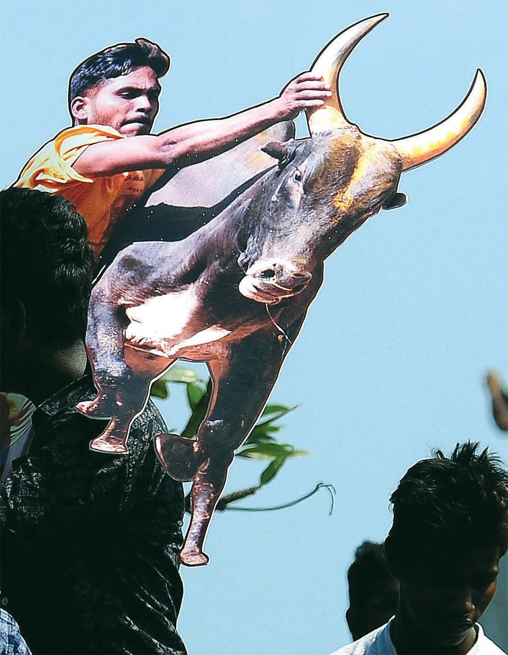 A wholly different animal
