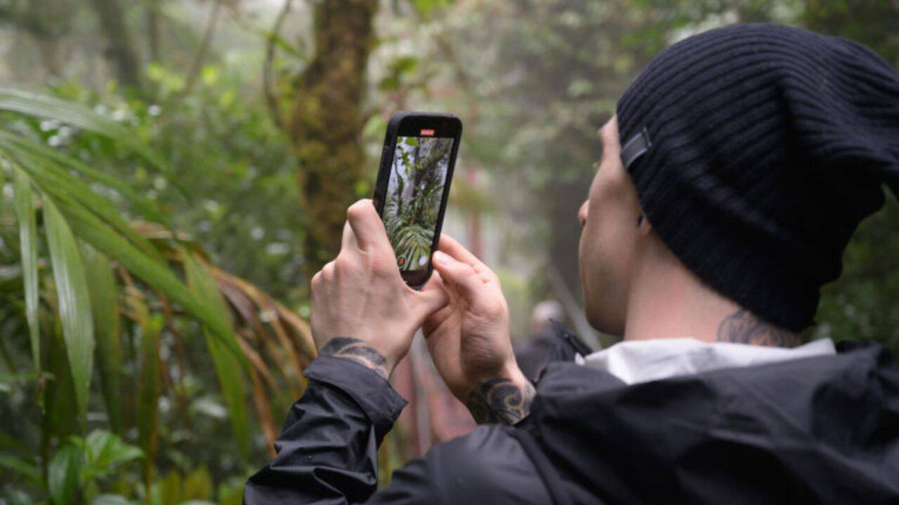 How decades of research revealed Monteverde’s hidden biodiversity<br>
