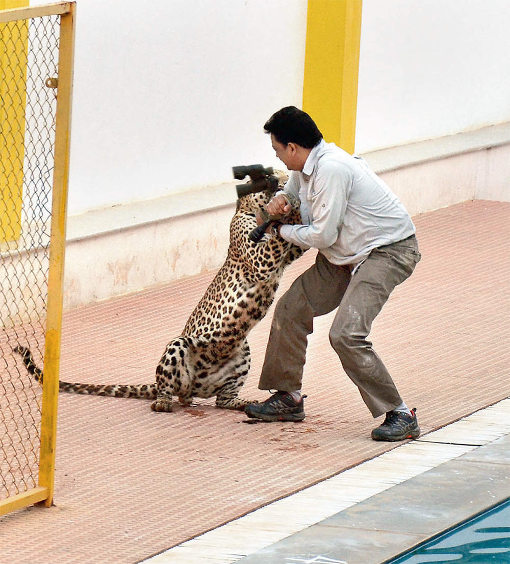 Seven Months Since Leopard Attack, But Activist Still Waits For Word On 