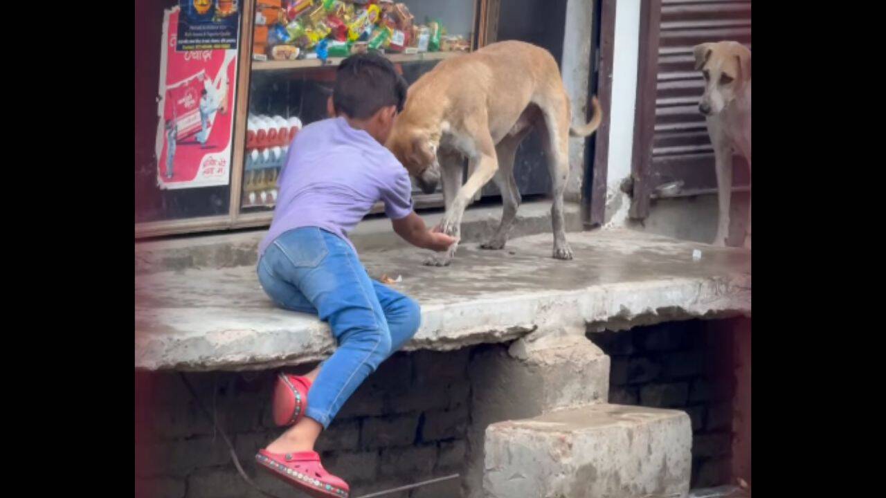A small lesson in kindness<br>
