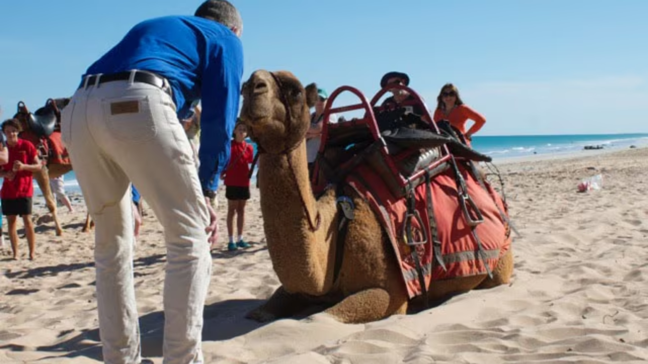 David Mason says he could not have done the trip without Kabul. (Image: Janet Geappen)