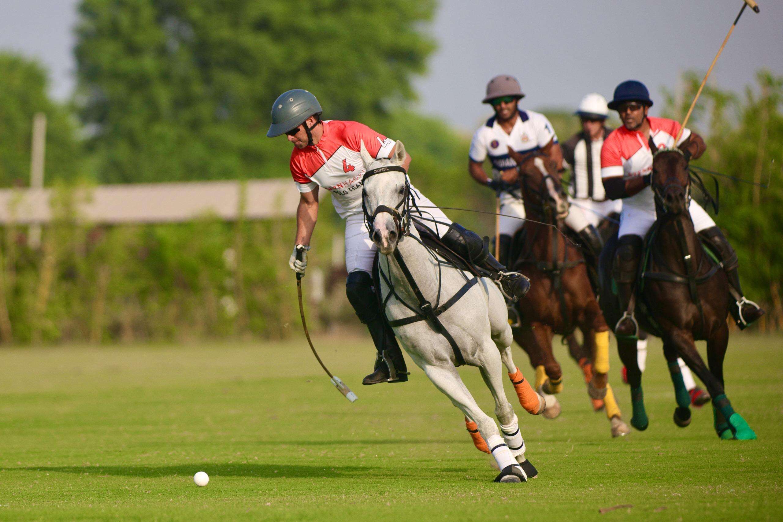 polo-2.jpg