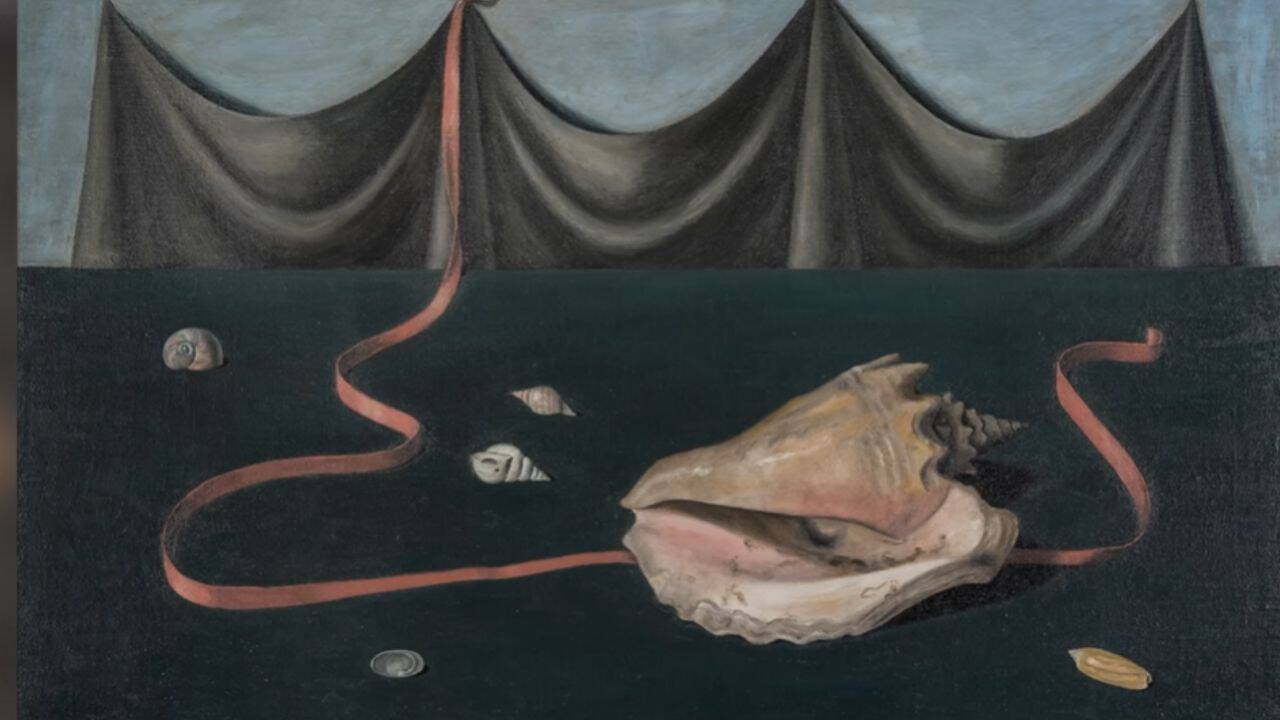 Shells had a particular symbolic importance in Abercrombie’s work