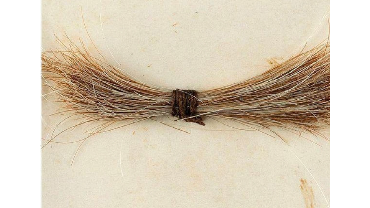 Meet John Reznikoff, the US collector who owns $1 million worth of hair from Abraham Lincoln, Marilyn Monroe and Einstein<br>