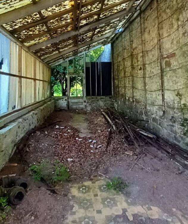 Ecological assessment ordered over Carr's historic potting shed plans